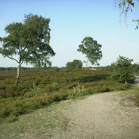 Bed & Breakfast Silogie Epe